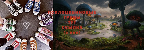 мдма Бородино