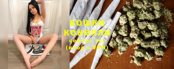 мдпв Бугульма
