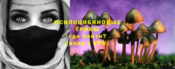 дмт Бронницы