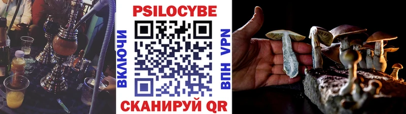 Псилоцибиновые грибы мицелий  дарнет шоп  гидра зеркало  Кириши 