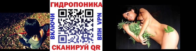 Шишки марихуана гибрид  shop как зайти  Кириши 